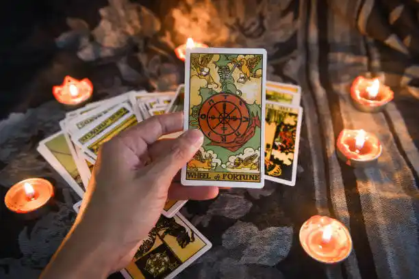 tarot cards University Heights